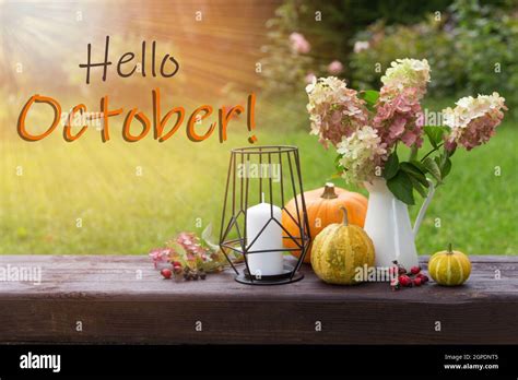 Hello October Wallpaper Autumn Background With Hydrangea Flowers And