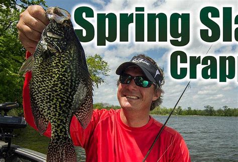 Finding Slab Crappies In Spring Where To Look Anglingbuzz