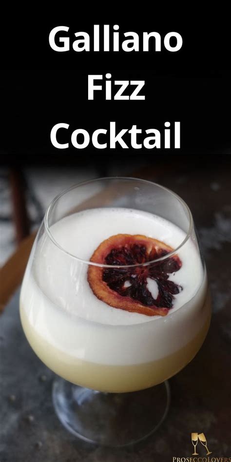 How To Make The Perfect Galliano Fizz Cocktail Winter Cocktails Recipes Yummy Drinks