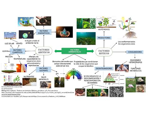 Factores Ambientales Esquemas Y Mapas Conceptuales De Ecología Docsity