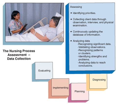Nursing Assessment The Nursing Process Part 1