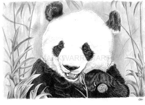 Panda Art Print Hand Drawn Animal Pencil Drawing A4 A5 Etsy Panda