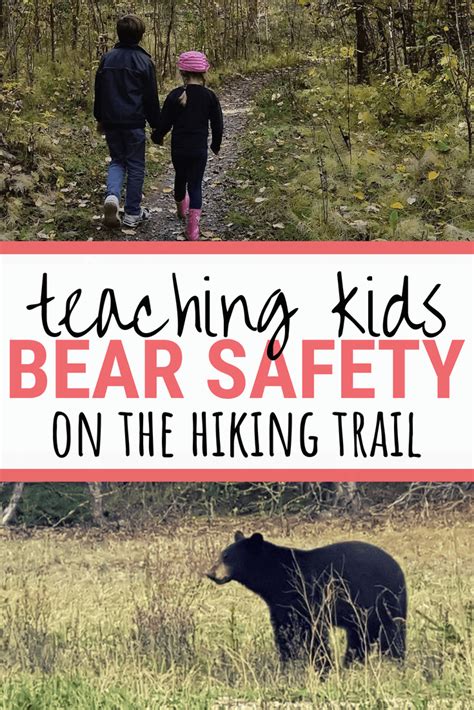Bear Safety Tips You Need To Know For Families ⋆ Take Them Outside