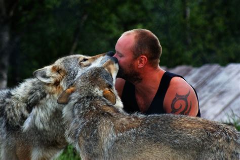 Wolf And Man Interacting Ann Kristin Brandt Photography Flickr
