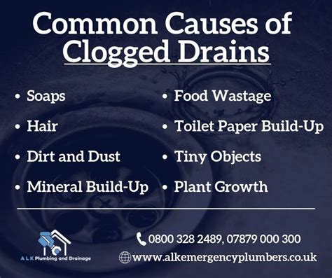 Common Causes Of Clogged Drains
