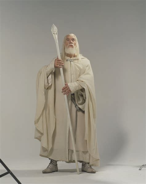 Gandalf Lotr Lord Of The Rings Photo 37618641 Fanpop
