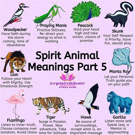 Psychic Animals Meaning In 2021 Spirit Animal Meaning Animal