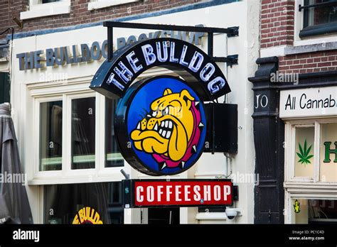 Bulldog Amsterdam Cafe Hi Res Stock Photography And Images Alamy