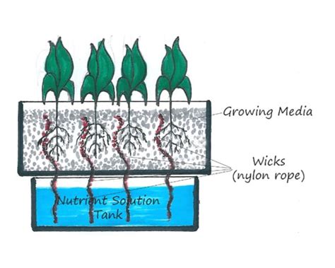 Bercocok tanam di pekarangan rumah saat ini bisa disebut sebagai trend tersendiri. 1. Sistem Sumbu (Wick System)