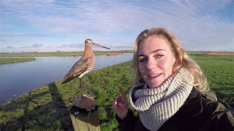 Boswachter hanne tersmette geeft je in haar vlog 'hanne's wandelwereld'. 9. Op stap met boswachter Hanne - zomer- & wintergasten ...
