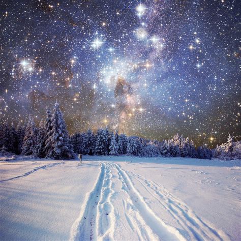 Starry Sky In Winter Snowy Night Stock Image Image Of Colour Color
