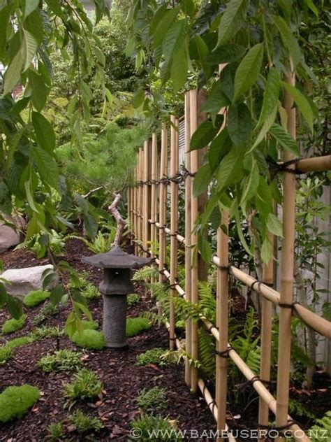Pin By Makenzie Holmgren On Garden Inspiration Bamboo Trellis