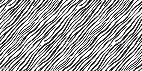 Seamless Vector Black And White Zebra Fur Pattern Stylish Wild Zebra