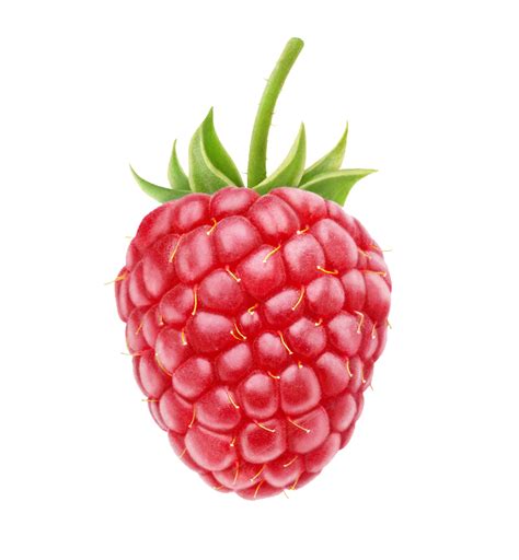 Raspberry Png Transparent Images Png All Raspberry Images