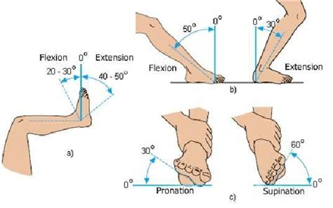홍정기교수님 오픈세미나 Arthrology Ankle Joint 네이버 블로그