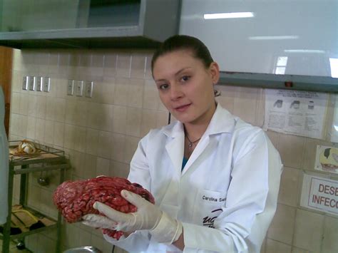 Los estudiantes tienen representantes a cada consejo de estudio. Estudiantes de medicina: prácticas morgue