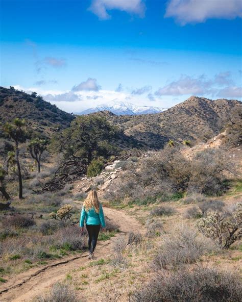 the best 6 joshua tree hikes for the most beautiful views in this national park — walk my world