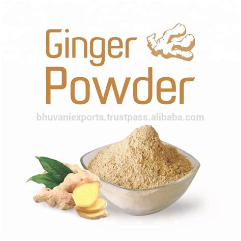 Ginger Extract Powderspicesherbs Productsindia Ginger Extract