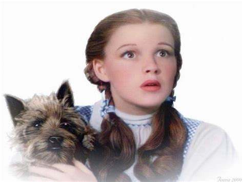 Dorothy And Toto The Wizard Of Oz Wallpaper Fanpop
