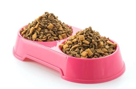 Maybe you would like to learn more about one of these? Rekomendasi Makanan Anak Kucing Berkualitas dan Bergizi ...