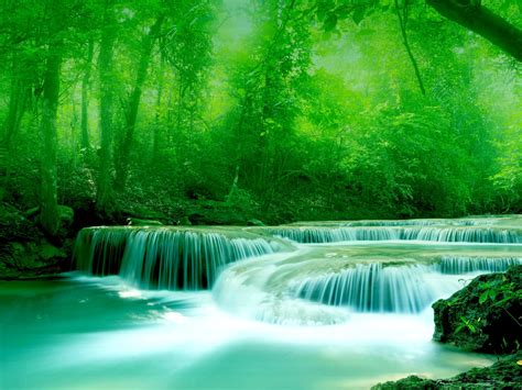 wallpaper-river,-water,-rocks,-trees,-greenery-free-wallpapers-download