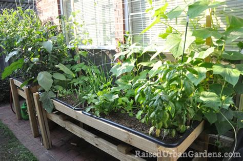 Ideas For Growing Vegetables In Small Spaces And Yards