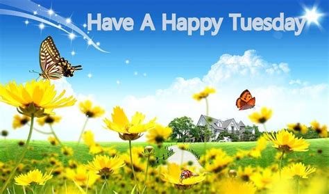 Have A Happy Tuesday Spring Quote Good Morning Tuesday Tuesday Quotes