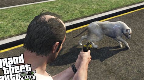 Gta 5 Pc Mods Wild Life Rescue Recovery Save Animals