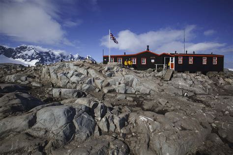 19 Best Things To Do In Antarctica In 2024 Niceflightdeals