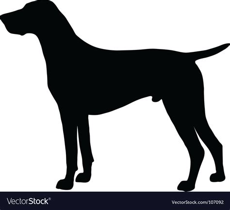 German Shorthaired Pointer Royalty Free Vector Image