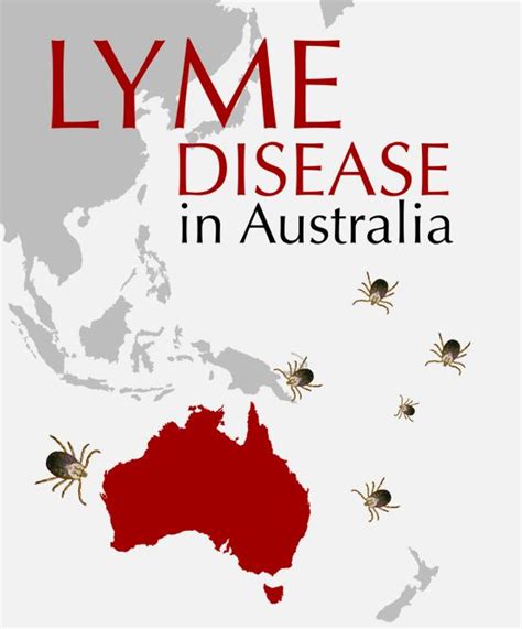 Lyme Disease Australia Book By Dr Nicola Mcfadzean