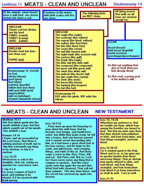 Clean And Unclean Animals In The Bible Commandments Who Wins Mans
