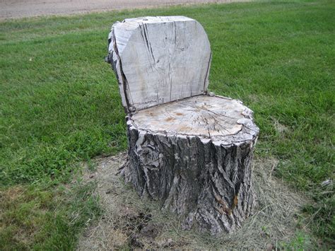 How To Make A Chair From A Tree Stump Ranee Fultz