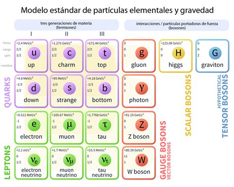 ¿cuáles Son Las Partículas Elementales De La Materia Curiosoando