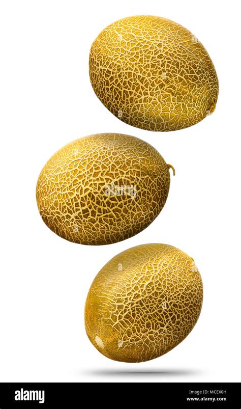 Falling Golden Melon Isolated On White Background Stock Photo Alamy