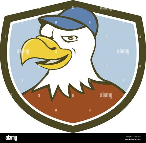 American Bald Eagle Head Smiling Shield Cartoon Stock Vector Image