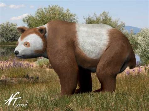 The Giant Mammals Of The Cenozoic Era Extinct Animals Mammals Short