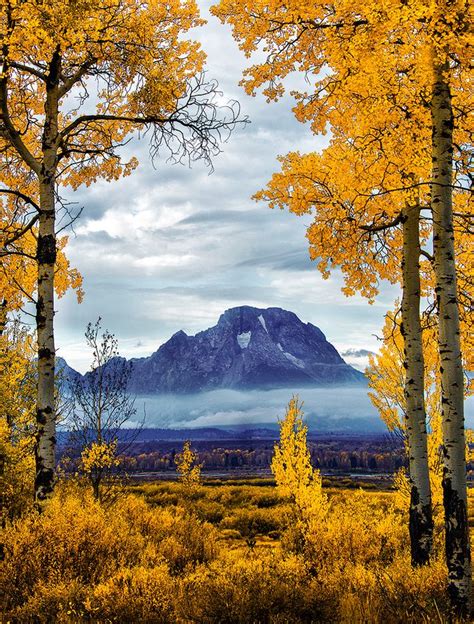 Some Highlights Of The Grand Teton National Park Wyoming Usa