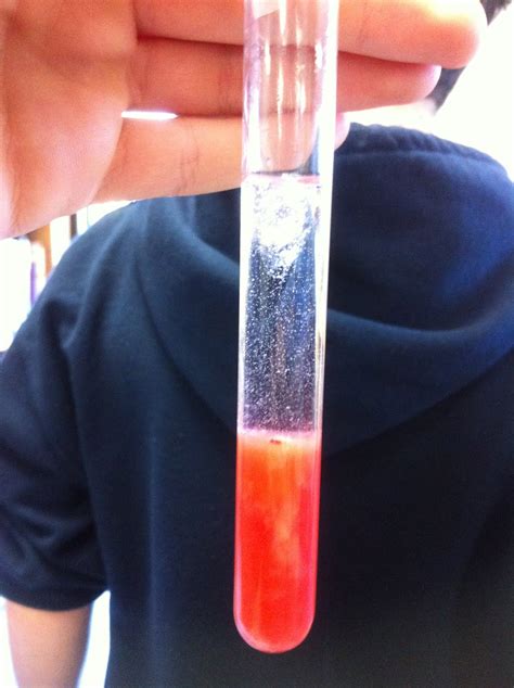 The ph of this buffer is 7.8. Inherit the wind: DNA Extraction Lab