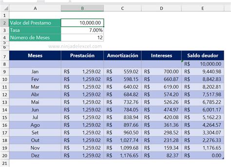 Planilla De Amortizaci N De Pr Stamos En Excel Ninja Del Excel