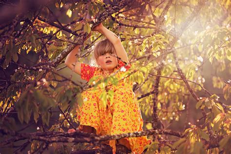 Free Images Nature Branch Person Girl Sunlight Leaf