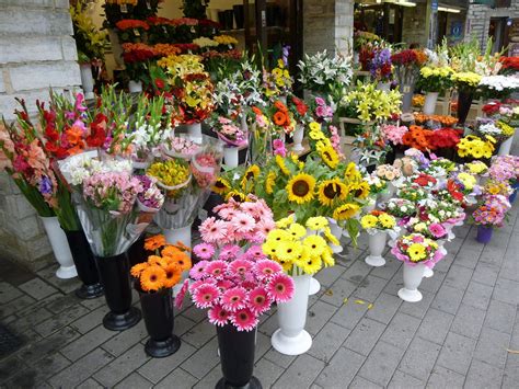 Flowers Flower Shop Bouquet Free Photo On Pixabay