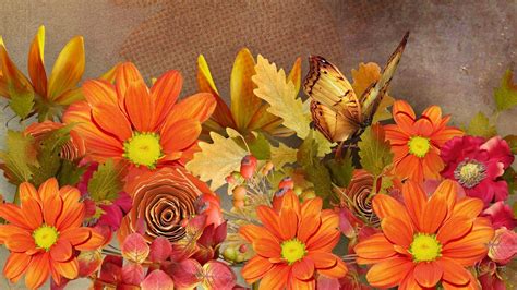 Fall Flowers Wallpapers Top Free Fall Flowers Backgrounds
