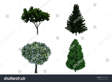 Trees Isolated Collection Stock Illustration 278091386