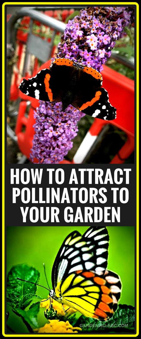 Pollinator Garden How To Attract Bees And Other Pollinators To Your Garden
