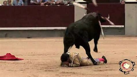 French Matador Gored By Raging Bull In Madrid Bullfight World News