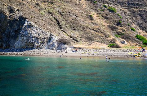 9 Amazing Things To Do On Santa Cruz Island Tiny Trailblazers