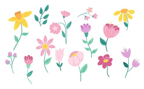 Drawing Vector Flowers Illustrating Simple Florals In Adobe Draw On