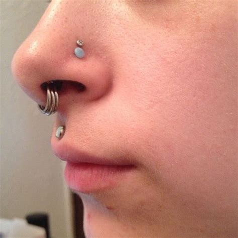 Stacked Rings In Stretched Septum Double Nostril Medusa Piercings Piercings For Girls