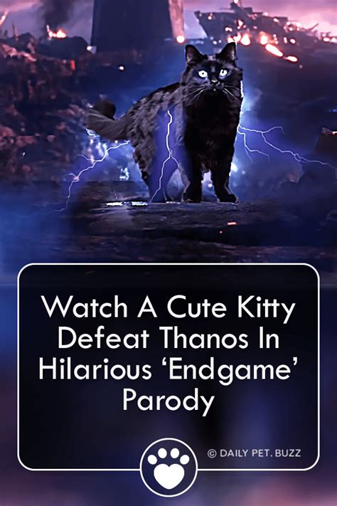 Watch A Cute Kitty Defeat Thanos In Hilarious ‘endgame Parody Pet Buzz